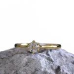 ring_1.901.1