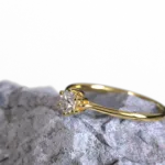 ring_1.901.2
