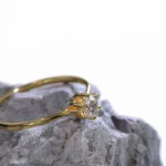 ring_1.901.3