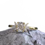 ring_3.1019.1