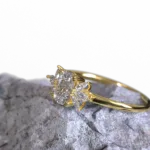 ring_3.1019.2