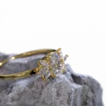 ring_3.1019.3