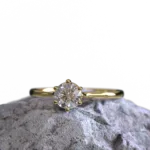 ring_3.953.1