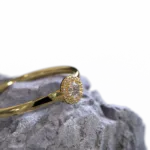 ring_3.1194.3